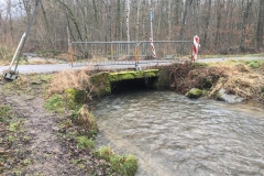 HinterwaldbrückeDenzlingen_01-1-e1533203439883